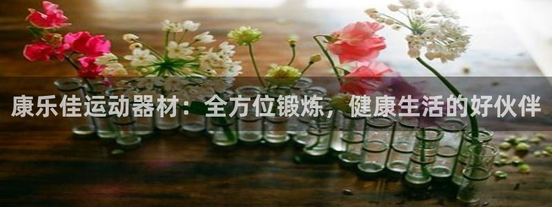意昂4官网:康乐佳运动器材:全方位锻炼,健康生活的好伙伴