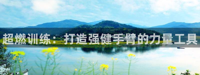 意昂体育4平台注册流程图:超燃训练:打造强健手臂的力量工具