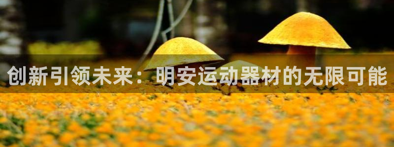 意昂4新能源:创新引领未来:明安运动器材的无限可能